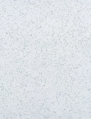 TCE 2019 Crystal White