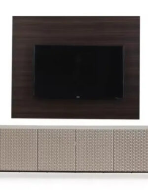 Arya TV Unit